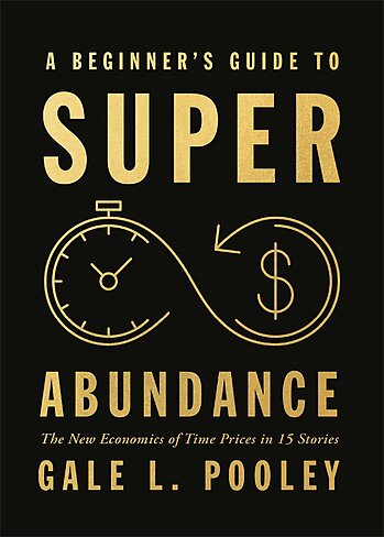 The Beginner's Guide to Superabundance cover