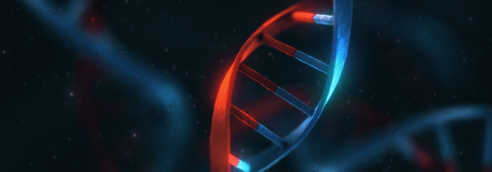 CRISPR Hero