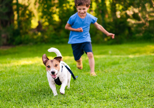 kid chasing dog 2