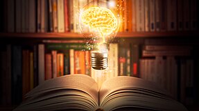 Graphic concept of light bulb in shape of brain over open book